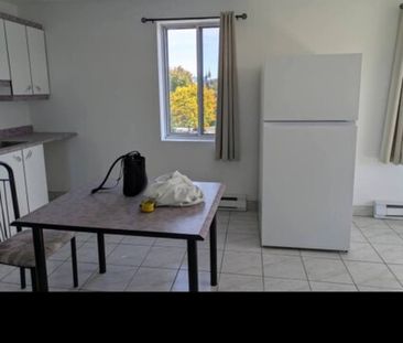 Logement Résidence étudiante De Granby - Photo 2