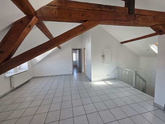 Location Appartement 3 pièces 53m² ALTKIRCH 68130 - Photo 1