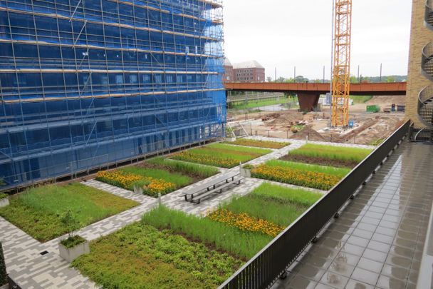 Spiegeltuin 158 - Foto 1