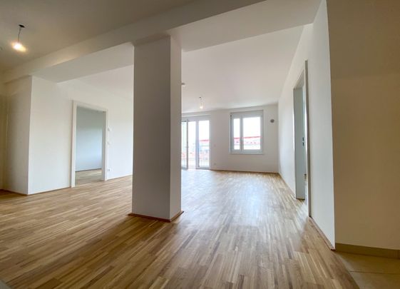 moderne 3-Zimmer Neubauwohnung mit Balkon und toller Aussicht! - Photo 1