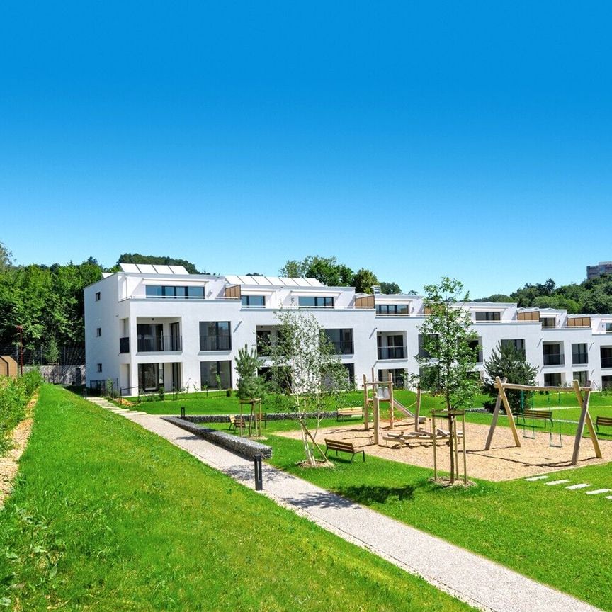 Lumineux et au milieu de la verdure - Photo 2