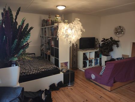 Te huur: Appartement Roosje Vosstraat in Eindhoven - Photo 5