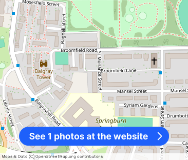 29 St. Monance Street, G21 - Photo 1