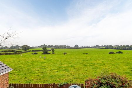 25 Beechgrove Park, Aghagallon, BT67 0BQ - Photo 4