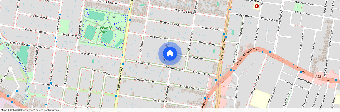 12 Thomas Street, Strathfield, NSW 2135