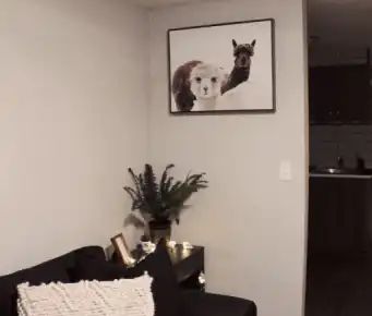 Cozy Basement Suite | Calgary - Photo 1