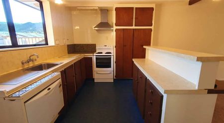 Sunny unit on Waikawa Road - Photo 2