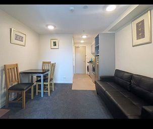 Central Auckland 1BR fully furnished - Photo 6
