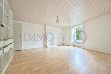 SPACIEUX TRIPLEX AVEC CACHET ET BALCON-TERRASSE - Photo 5