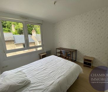 61 m² de luminosité à 2 pas de la gare, de l'IUT, de l'INSA. - Photo 3