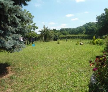 Location maison 4 pièces - 100m² à Bonnes (86300) - Photo 4