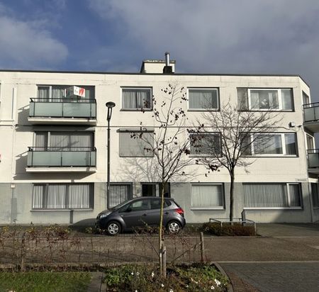 Appartement met 3 slaapkamers in het centrum - Photo 4