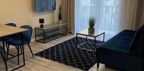 (Symbol 436599) MIESZKANIE na WYNAJEMSzczecin, Śródmieście 2 pokoje na wynajem centrum Szczecina - Zdjęcie 2