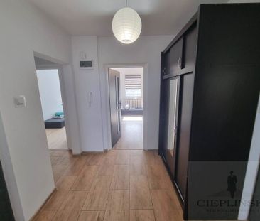 Szczecin, Kasztanowe - Фото 2