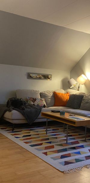 Rum i hus - kvinnlig student - Photo 1