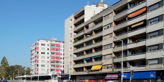 Rue de Genève 109 - Photo 3