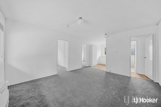 Spacious Two Bedroom Unit - Photo 1