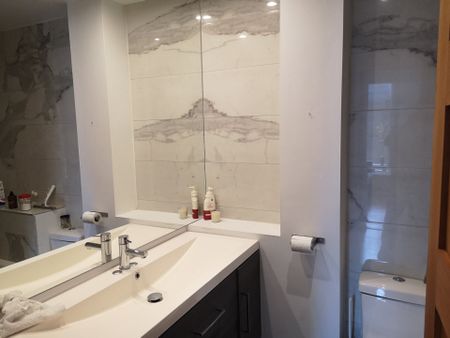 Condo for rent, Montréal (Le Plateau-Mont-Royal) - Photo 4
