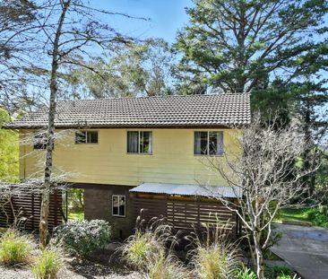 HIGH AMONGST THE TREE TOPS - Photo 3