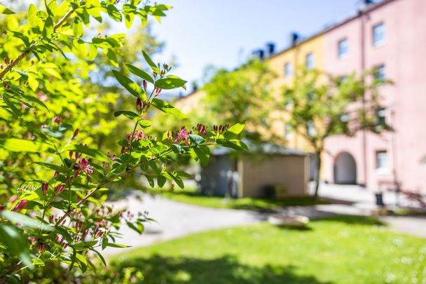 Enebygatan 13, Centrum Norr - Photo 1