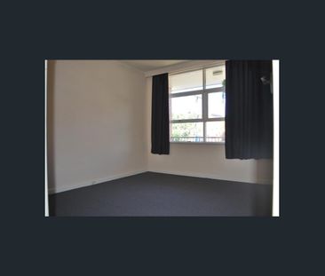 Amazing Location First Floor Apartment! - Photo 5