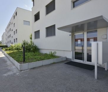 Apartment - Photo 5