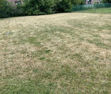 For Lease - 30 Norcross Road Unit# Basement, Toronto, Ontario - Photo 1