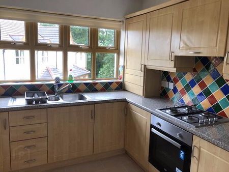 35 Woodrow Gardens, Saintfield, Ballynahinch, BT24 7WG - Photo 5