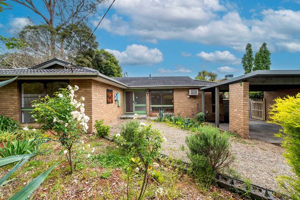 Freshly updated 4-Bedroom, 2-Bathroom Home in a Family-Friendly Location - Photo 1