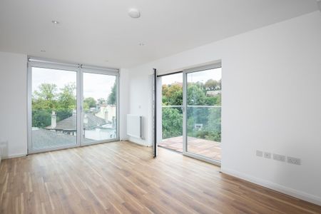 Central Park - Photo 3