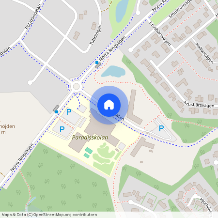 Kunskapsgatan, Älmhult