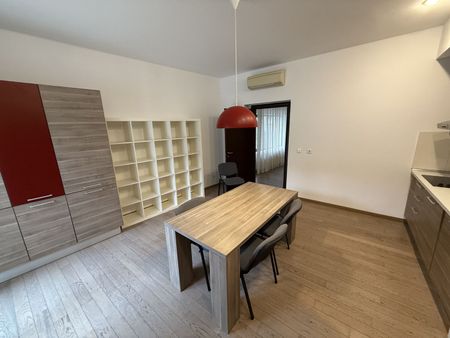 Apartament 5 camere de inchiriat zona Herastrau - Photo 3
