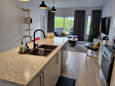 70 place Edmond-Aucoin Saint-Boniface - Photo 3