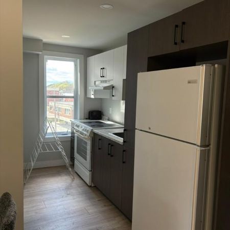 Logements 1 1/2 tout inclus - Photo 3