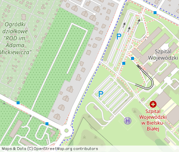 Świetny apartament z ogródkiem Pod Dębowcem - Фото 1
