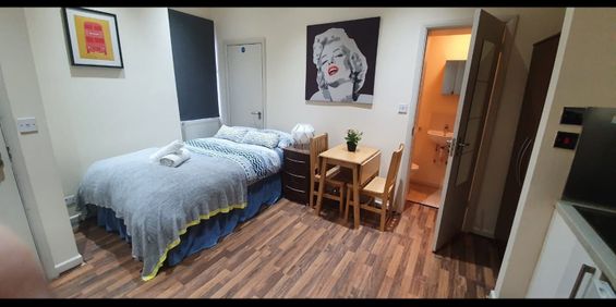 Studio Flat, Brondesbury Park/ Willesden Green, NW6 - Photo 3