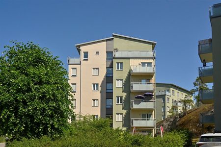 Bergfotensvängen 3 - Photo 5