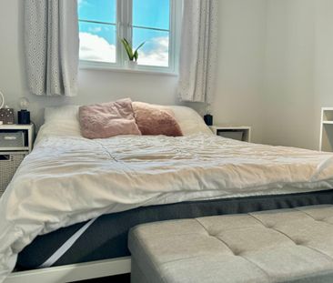 Bull Close, Norwich - Photo 3