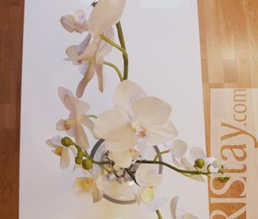 Apartment Beautreillis One Bedroom - Photo 5