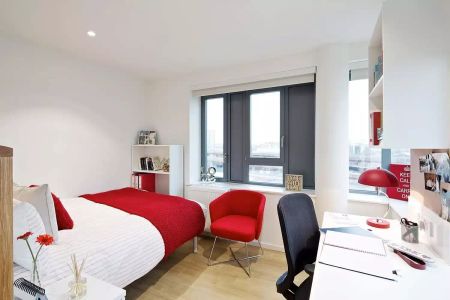 Premium Studio - Lower Floors - Photo 4