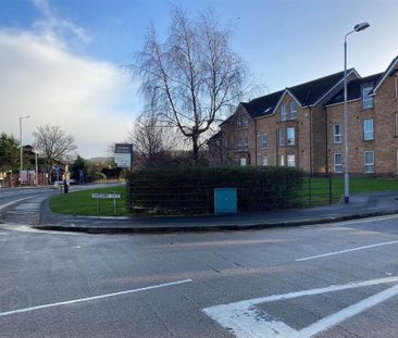 61 Montgomery Chase, Belfast, BT6 9GQ - Photo 6