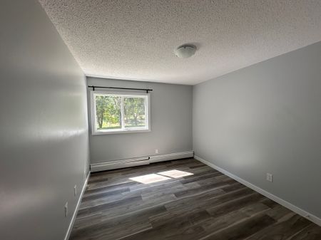 Modern and Spacious 2-Bedroom Apartment - SMALL PET FRIENDLY! - Photo 4