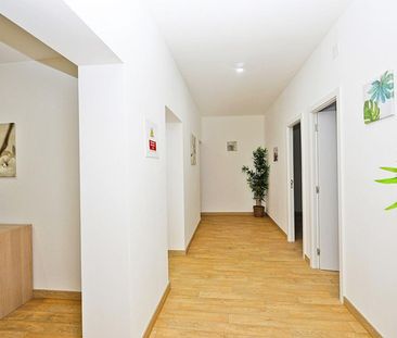 Rua da Fó - Photo 5