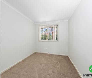 45A Lambrigg Street, Farrer ACT 2607 - House For Rent | Domain - Photo 4