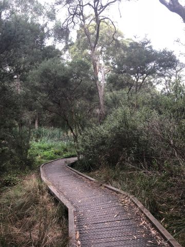 Nunawading - Photo 2