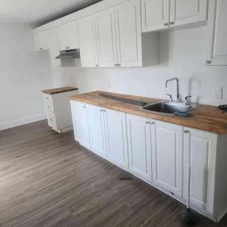 4 et demi st-jerome - Photo 3