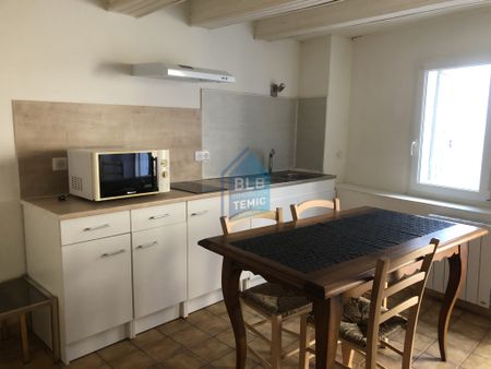 Location Appartement 2 pièces 43m² VAUVERT 30600 - Photo 4