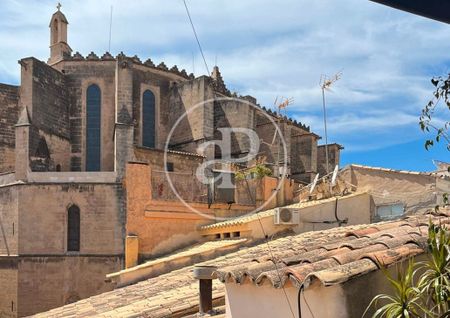 Palma, Balearic Islands 07012 - Photo 3