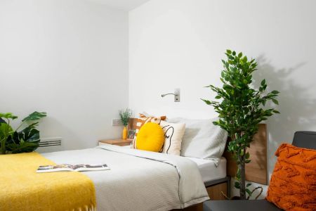 Large High Double Studio - Photo 3