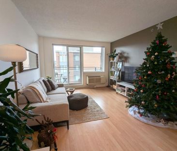 1280 Rue St-Jacques, app.1007, H3C 0G1, H3C 0G1, Montréal - Photo 4